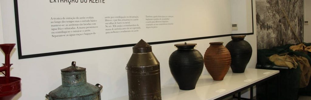 Museu da Oliveira e do Azeite